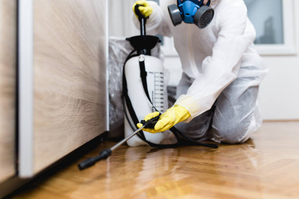 Best Rat Extermination Near Me  in County Center, VA