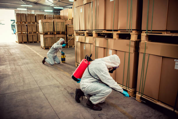 Best Affordable Pest Control Services  in County Center, VA