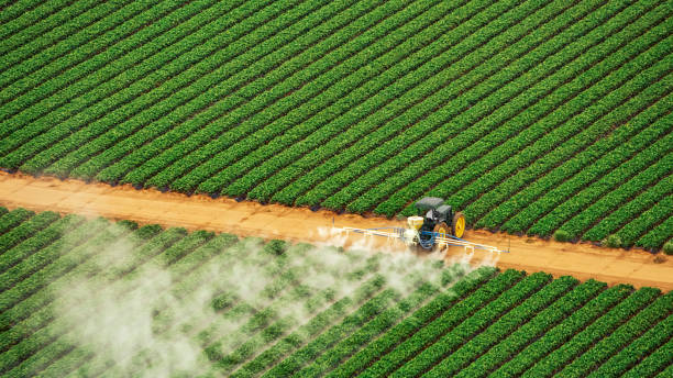 Best Pest Control for Businesses  in County Center, VA