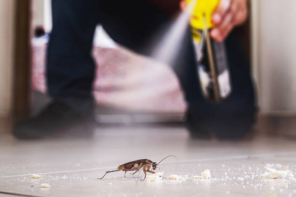 Best Wildlife Control Services  in County Center, VA