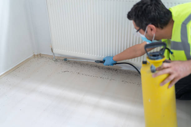 Best Cockroach Control Services  in County Center, VA