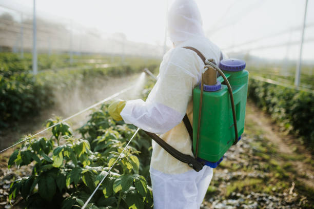 Best Flea Control Services  in County Center, VA